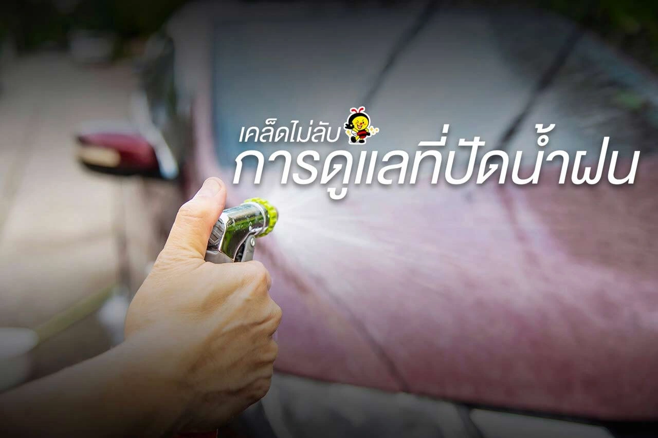  เคล็ดไม่ลับ การดูแลที่ปัดน้ำฝน