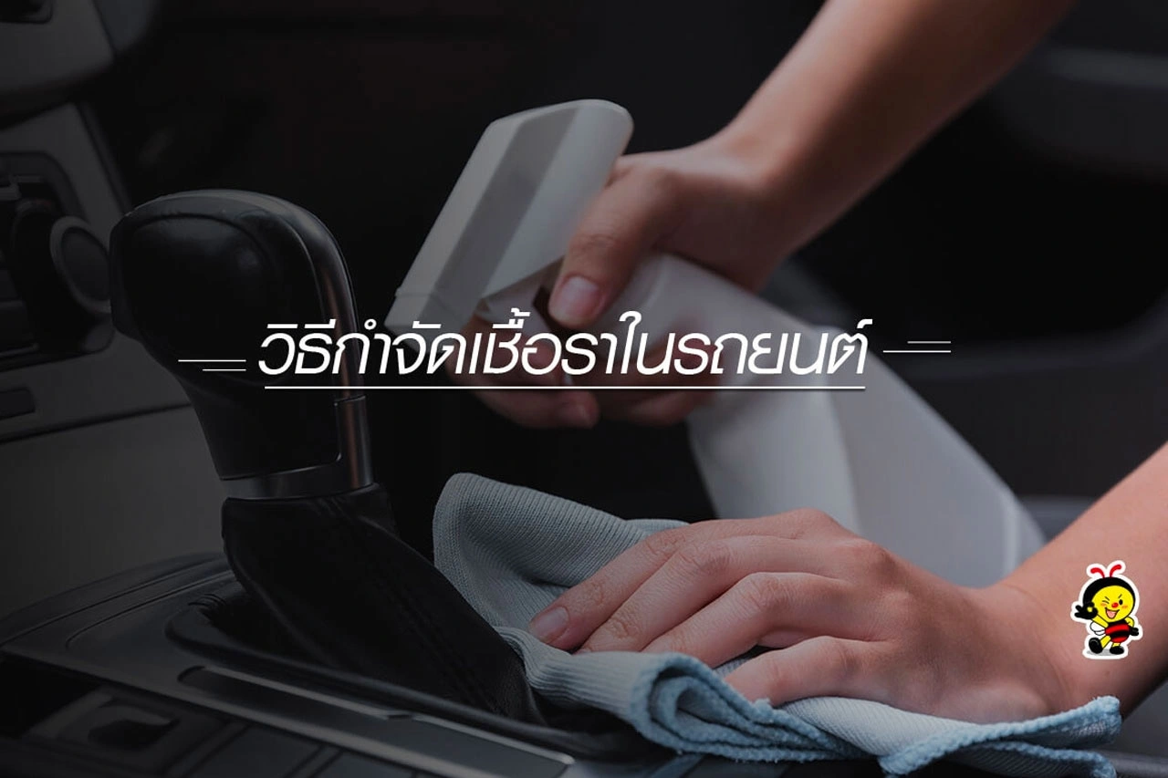 กำจัดเชื้อราตัวร้ายในรถ