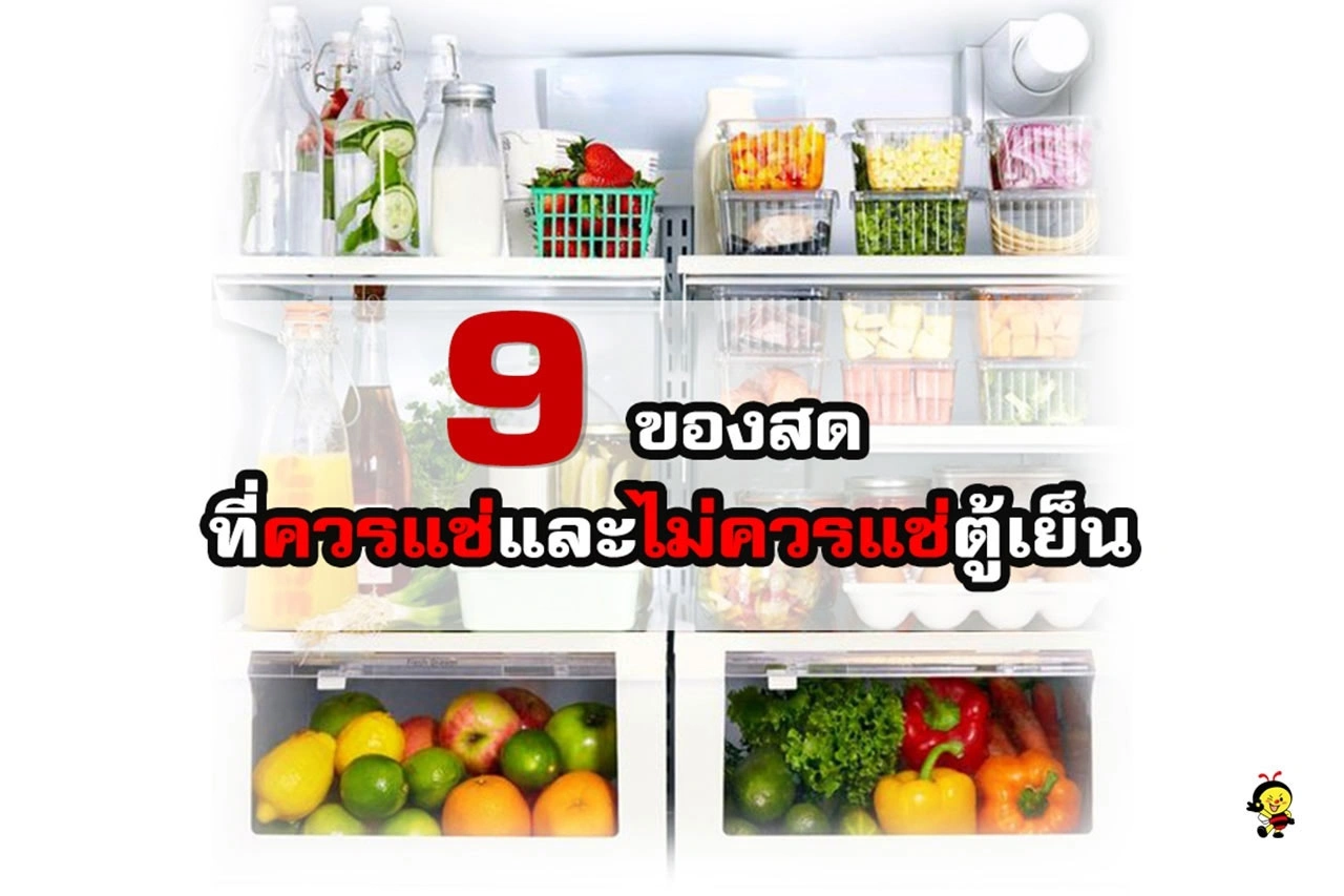 9 ของสด ที่ควรแช่และไม่ควรใส่ตู้เย็น