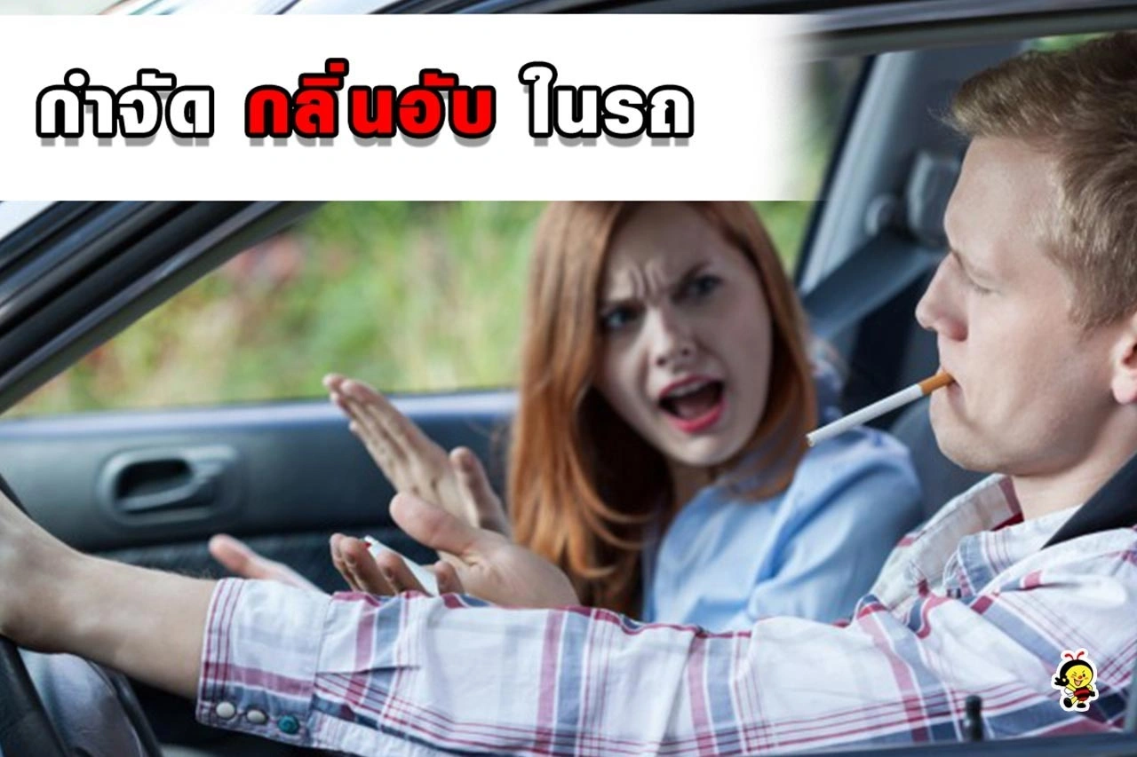กำจัดกลิ่นอับในรถยนต์ ได้ด้วยตัวคุณเอง…