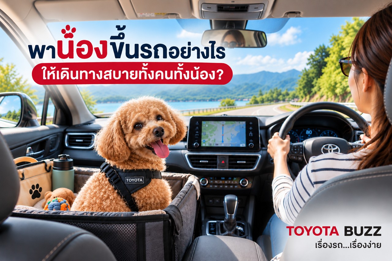 พาสัตว์เลี้ยงขึ้นรถอย่างไร ให้ทั้งคนทั้งน้องเดินทางสบาย?